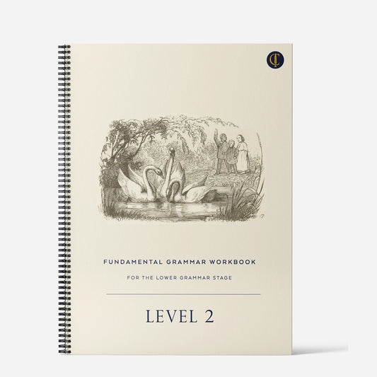 Fundamental Grammar for the Lower Grammar Stage: Level 2 Workbook